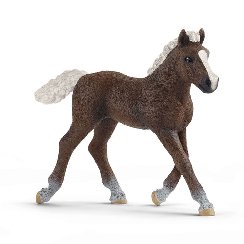 SCHLEICH - BLACK FOREST FOAL SCHLEICH