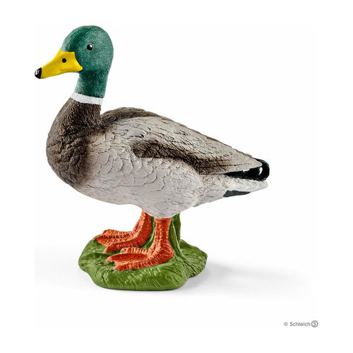 SCHLEICH- DRAKE SCHLEICH