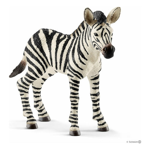 SCHLEICH- ZEBRA FOAL SCHLEICH