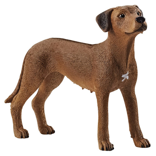 SCHLEICH - RHODESIAN RIDGEBACK SCHLEICH